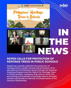 DepEd calls for protection of heritage trees in public schools